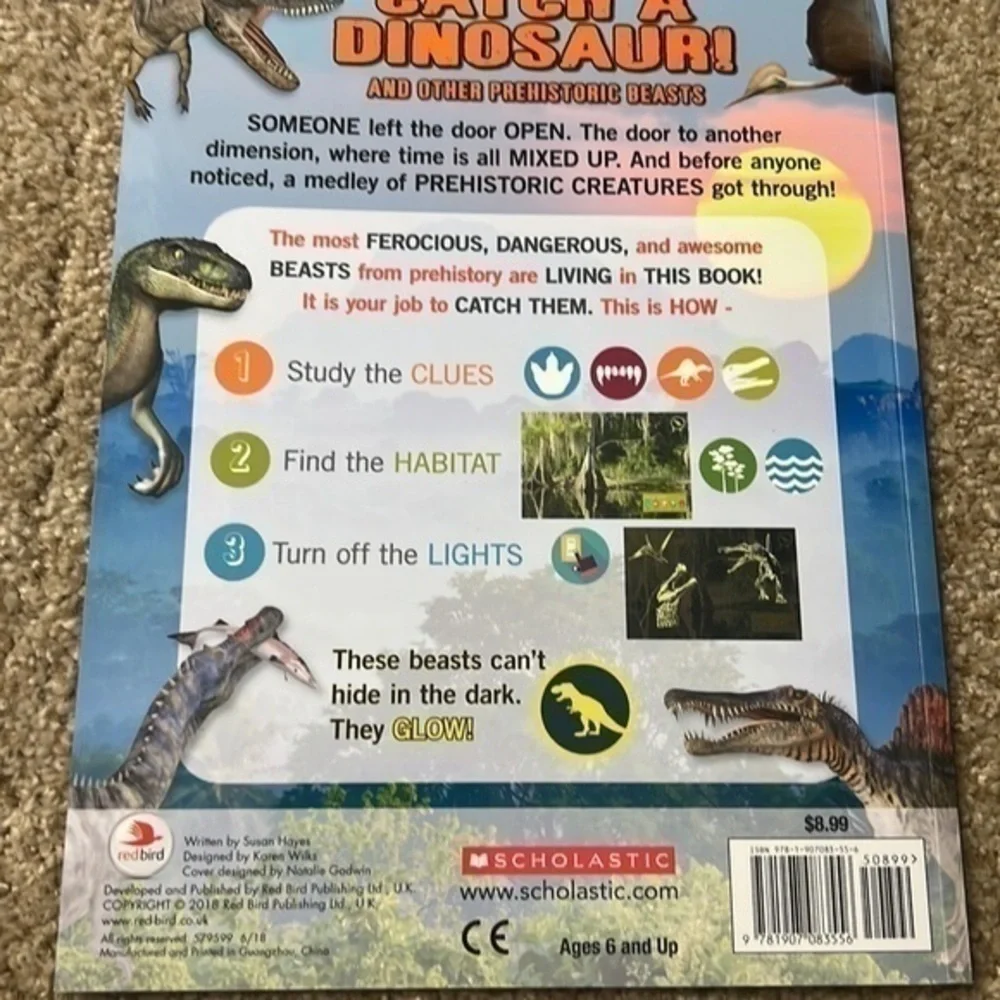Set of 4 Dinosaur books